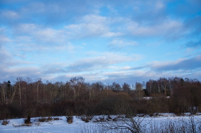 0017IMGP2465uusJanuary 18, 2019.jpg