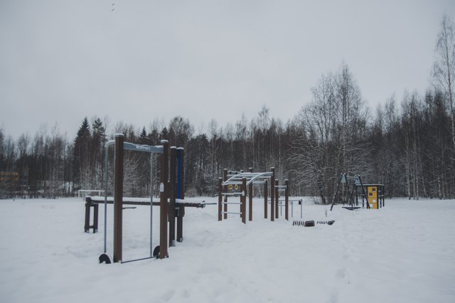 0010IMGP8698ccFebruary 04, 2019.jpg