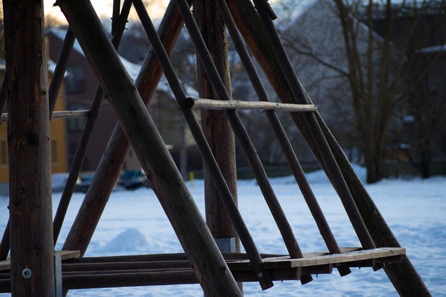 0047IMGP2753uusJanuary 18, 2019.jpg