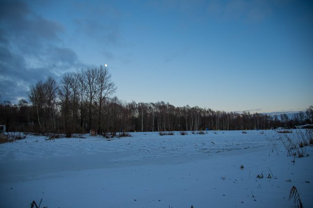 0030IMGP2698uusJanuary 18, 2019.jpg