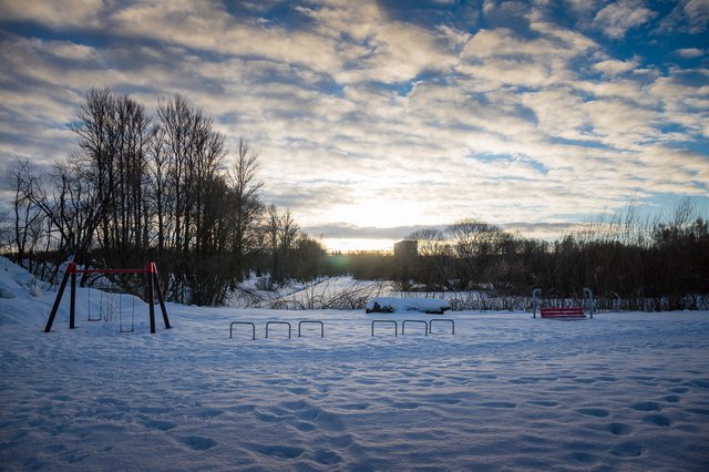 0021IMGP2475uusJanuary 18, 2019.jpg