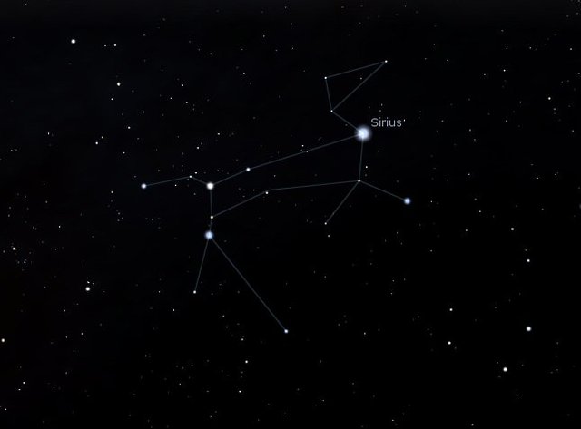 Созвездие собаки на небе как выглядит