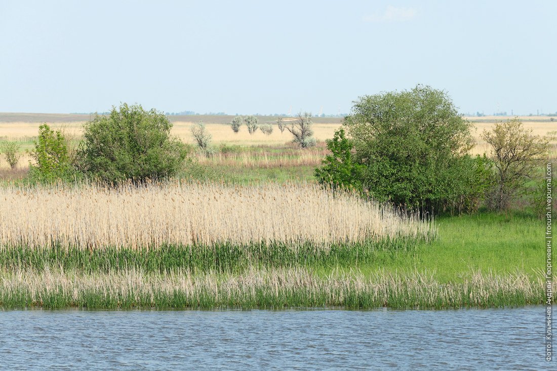 Погода в оля. Село Оля Астраханская область. Село Оля Астрахань. Город Оля Астраханская область. Оля поселок Астрахань.