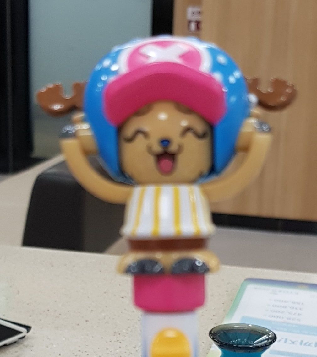 쵸파KakaoTalk_20180419_140511225.jpg