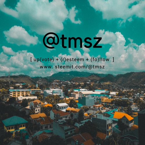 @tmsz.png