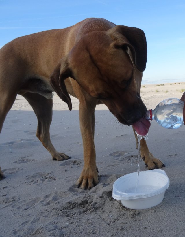 water.jpg