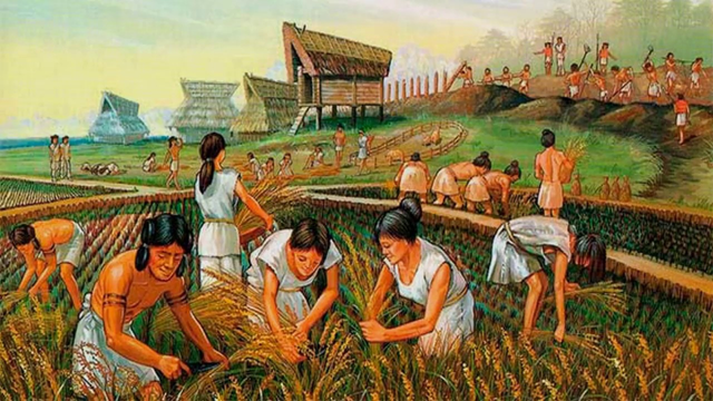 The Paleolithic and the Neolithic the birth of humanity. — Steemit