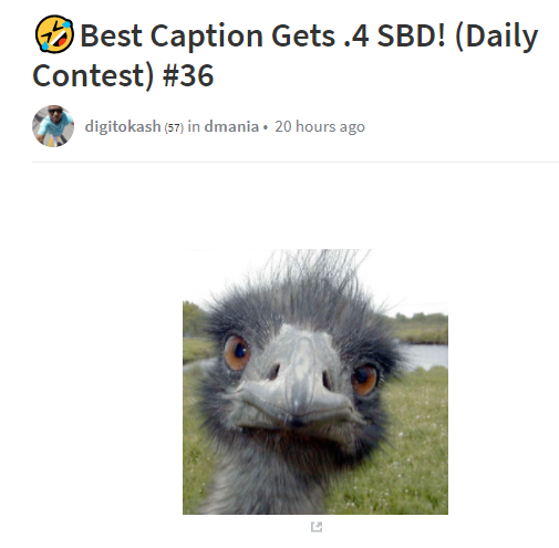 #36.png