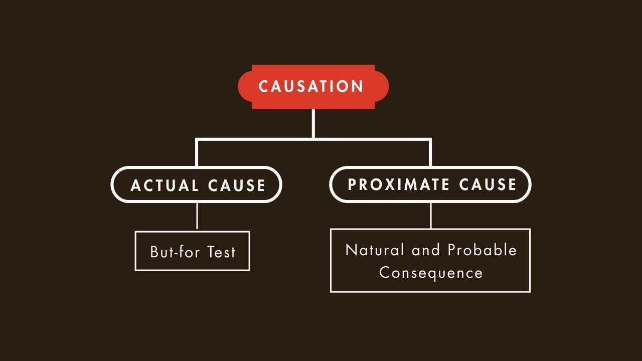 But for. Causation. What is Causation. Чем отличаются proximate cause от actual cause.