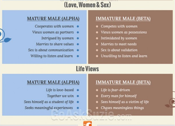 Male meaning. Alpha and Beta male. Alpha male vs Beta. Alpha male Beta male. Альфа прртив бетаталфа.