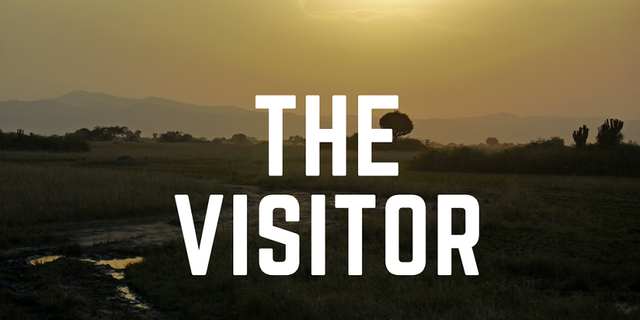 The Visitor : Part Four — Steemit