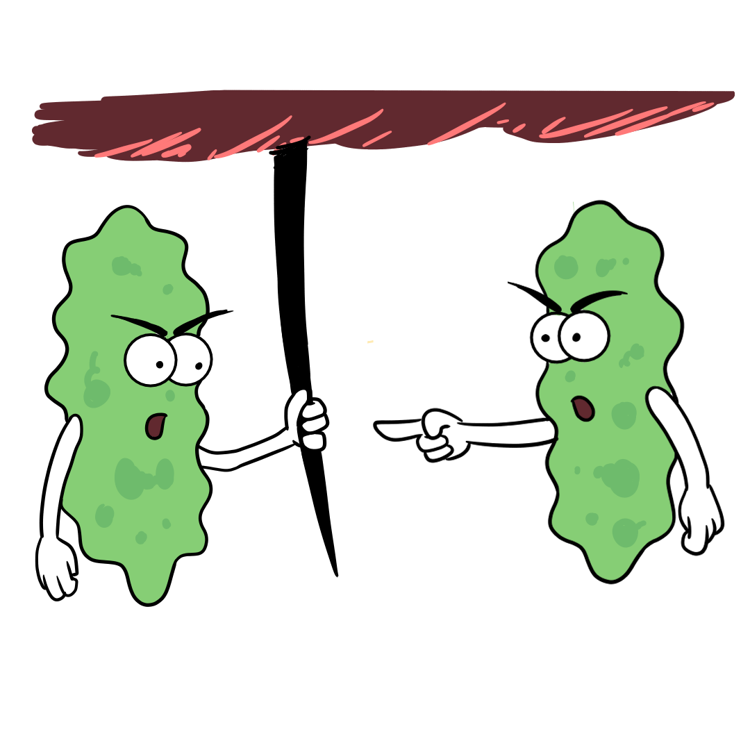 color.png