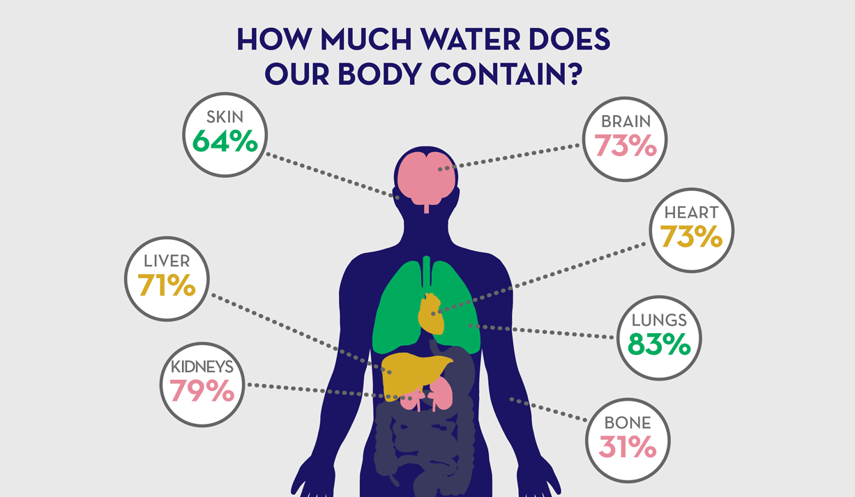 Functions of water