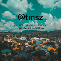 @tmsz.png