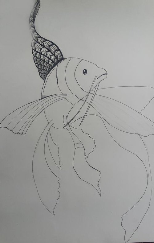 Kein Bild