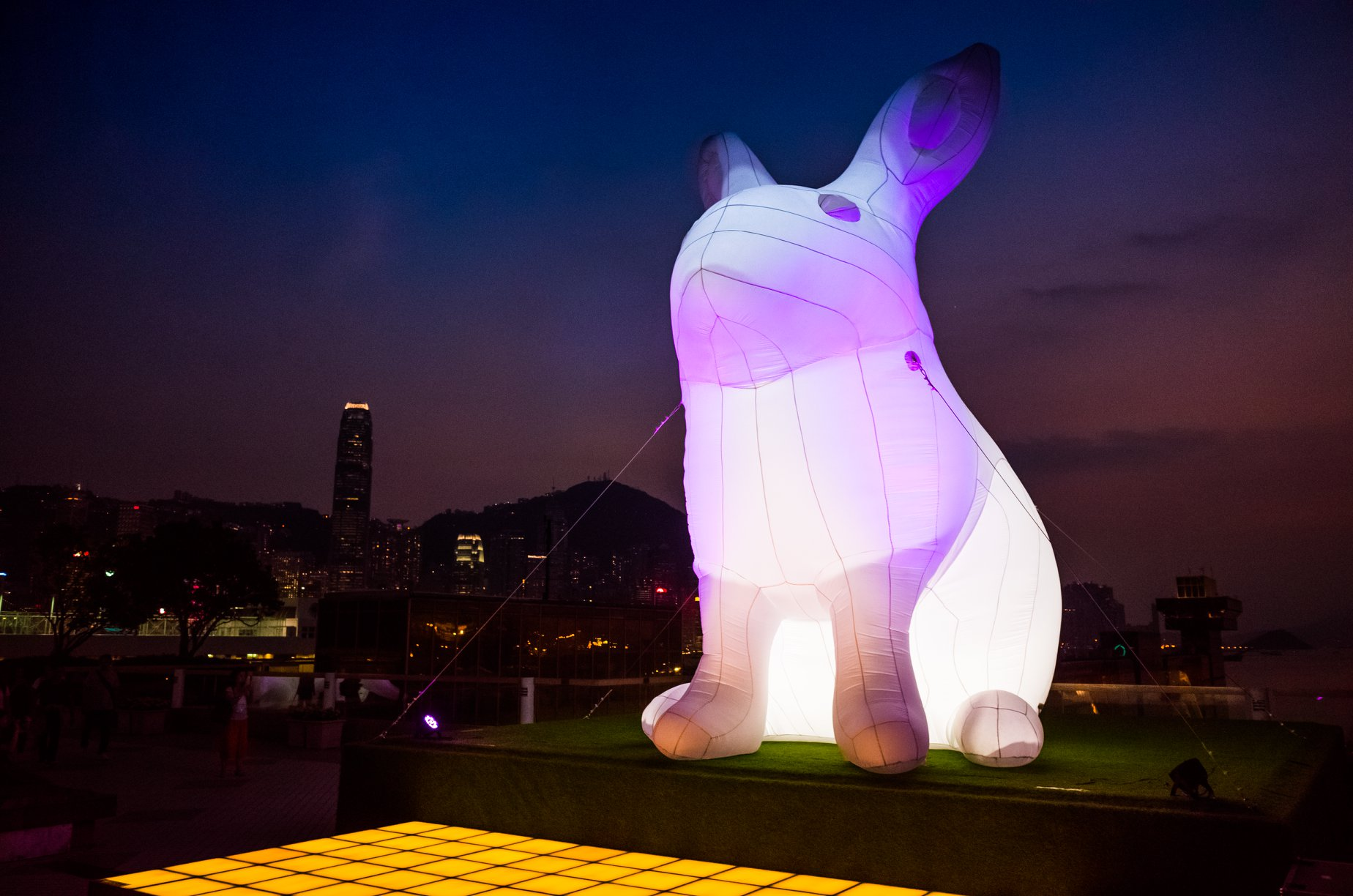 Эко отель лунный кролик. Лунный кролик. Пекинский лунный кролик. Кролик Мун в реальной жизни.