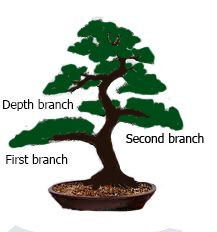 Speaking a bit about the branches in the art of Bonsai!  Steemit