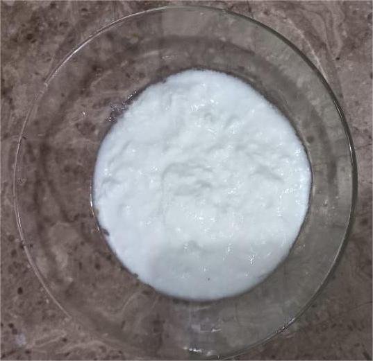 Curd.jpeg