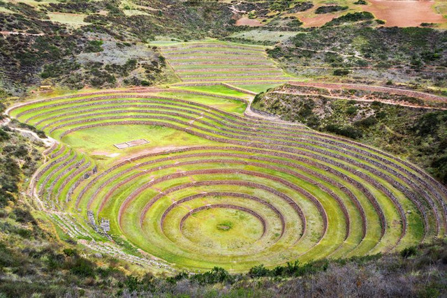 moray.jpg