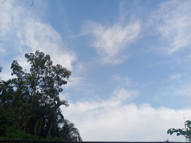 62543.jpg