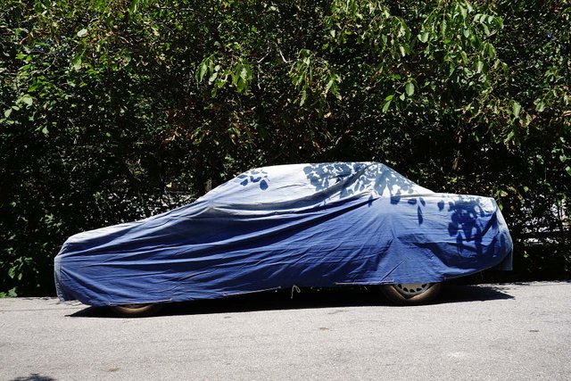 car1a.jpg