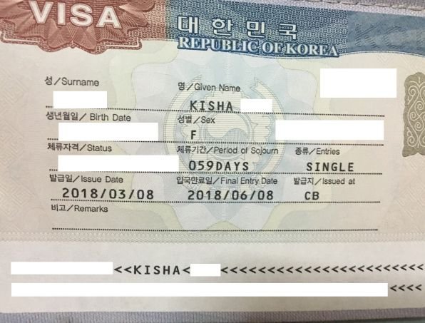 7 visa. Корейская виза. Korean visa. Корейская виза g1. Виза в Республику Корея.
