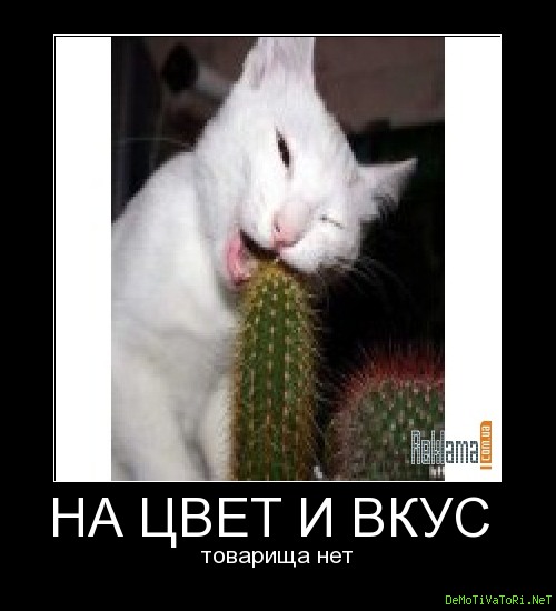 На вкус и цвет товарищей нет картинки. На вкус и цвет товарища нет. На вкус и цвет товарища нет. Психология цвета в рекламе презентация. На вкус и цвет товарища нет.