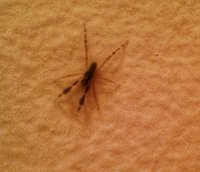 20171106_202857-01.jpeg