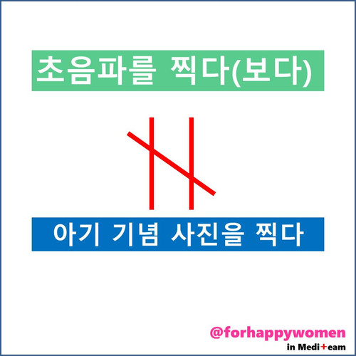 초음파를 보다.jpg