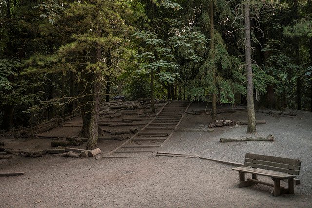 Woodland Park Seattle Steps proxy.duckduckgo.com.jpeg