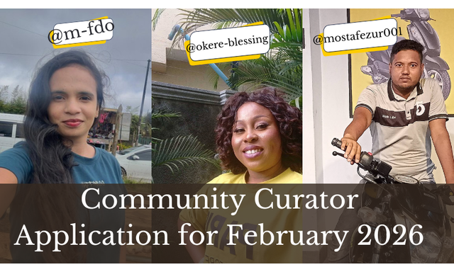 Community Curator Application for February 2026.png