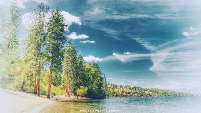 at the lake.jpeg