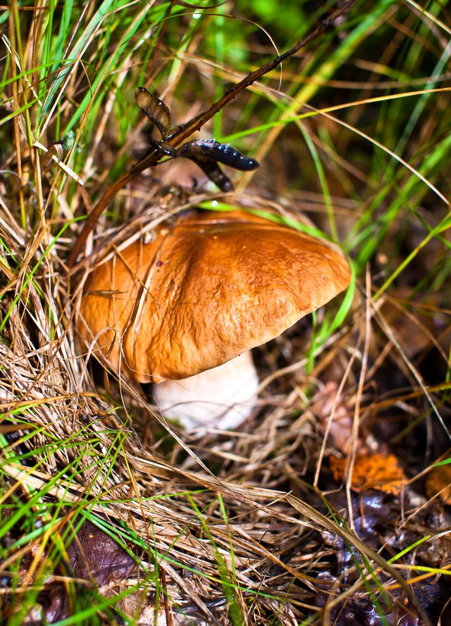 2021-ceps-0024wS.jpg