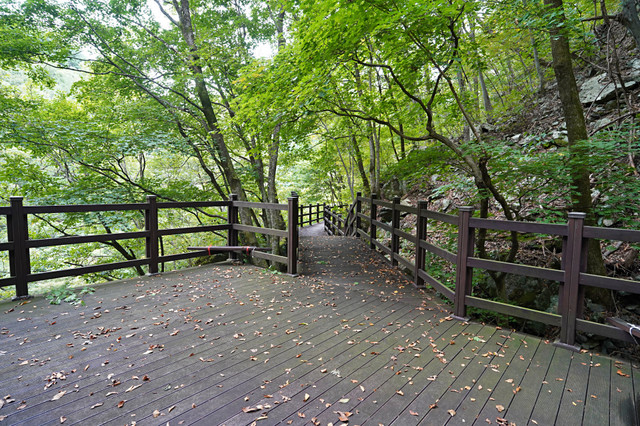 b-S260927-143258.jpg