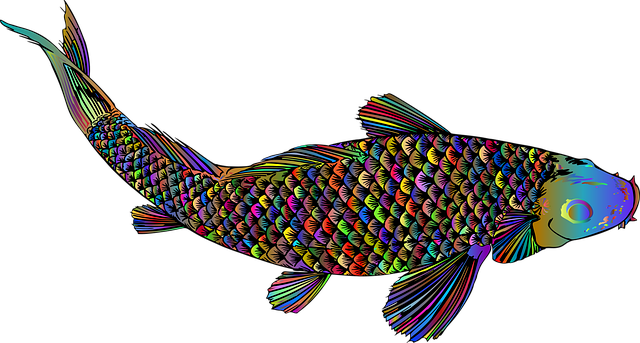 fish-5178959_640.png