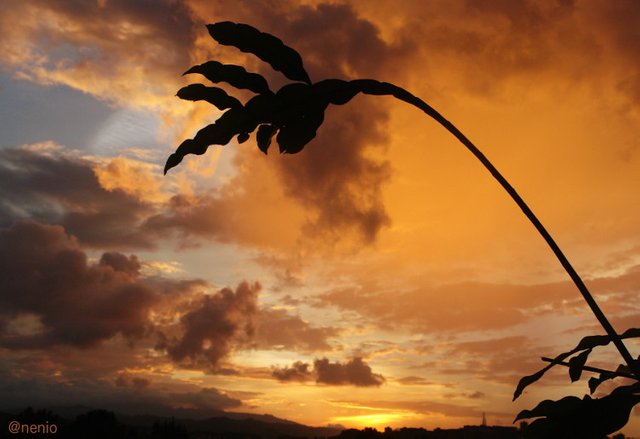 sunset-caracas06.jpg