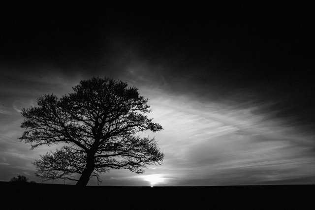 Lonely-sunriseBW.jpg