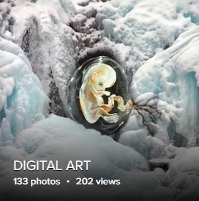 Digital Flickr.JPG