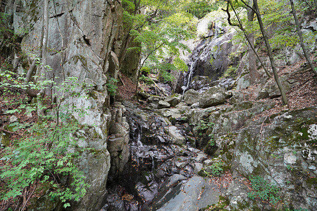 b-S260927-143116.jpg
