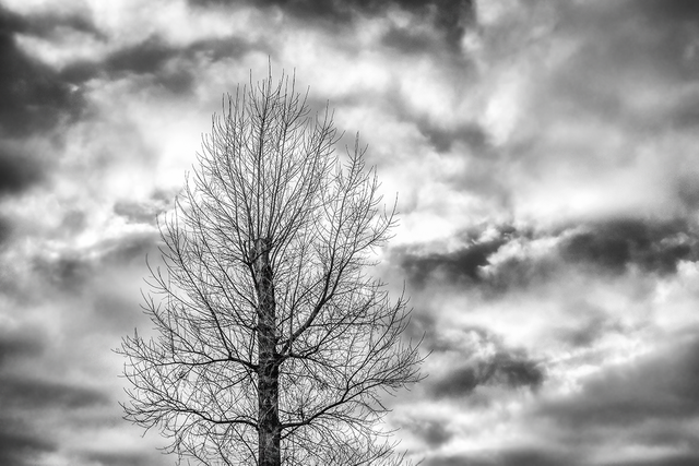DSC_3691-BW-2-WE.png