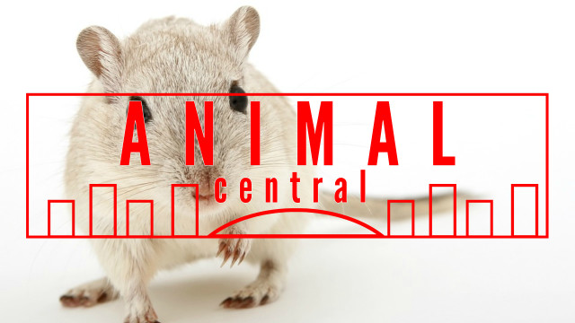 BeFunky Design.jpg