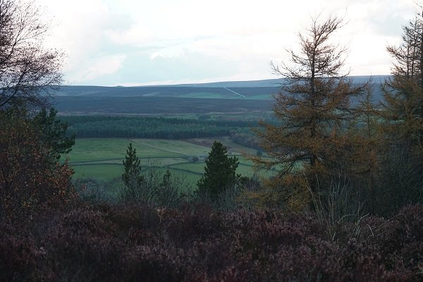A Great View.JPG