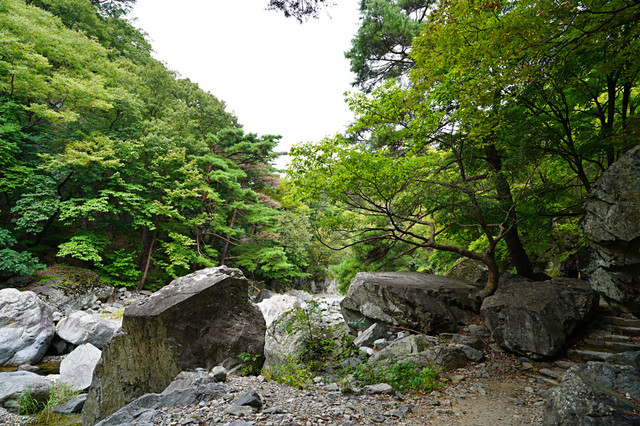 b-S260927-111048.jpg