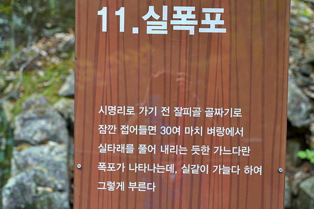b-S260927-142515.jpg