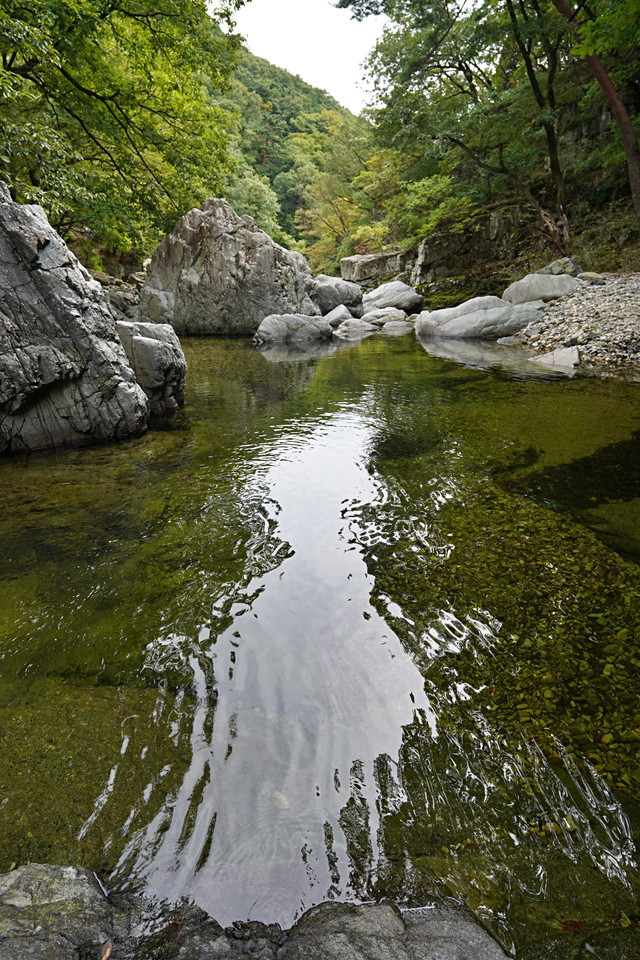 b-S260927-112443.jpg