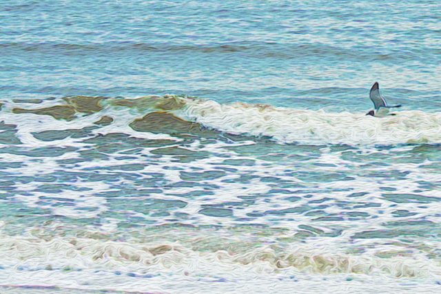 Gull PaintLook.jpg