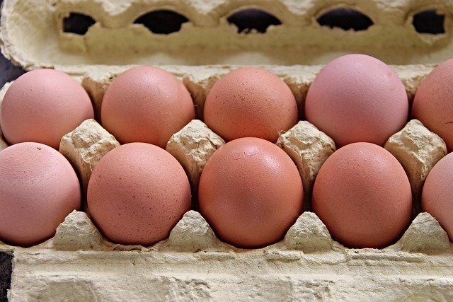 eggs-3193714_640.jpg