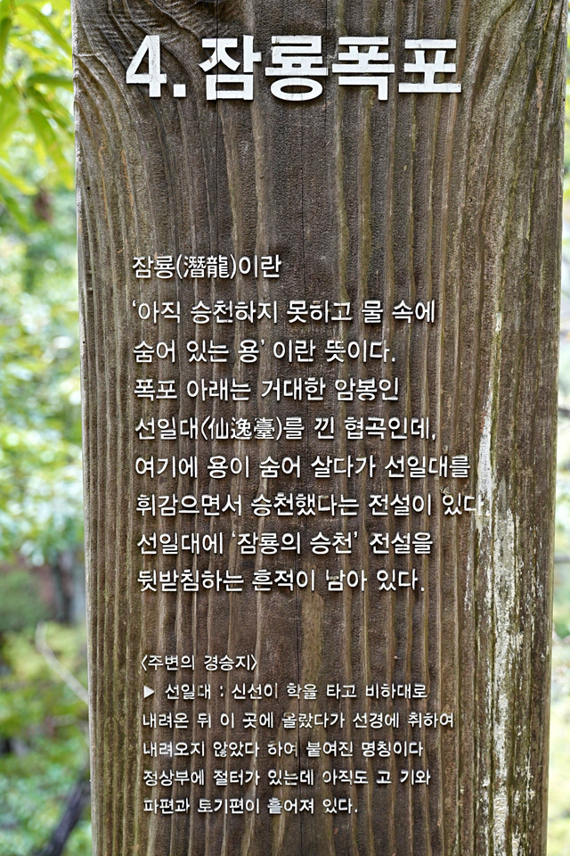 b-S260927-113812.jpg
