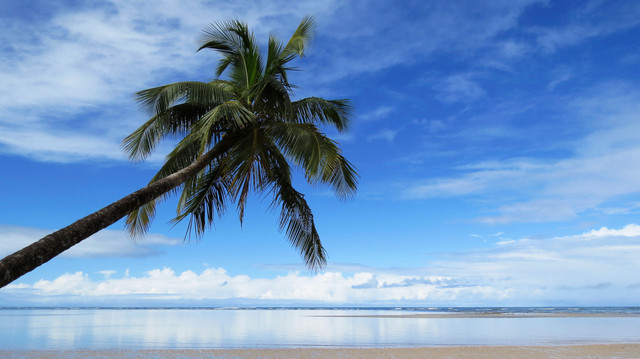island brazil
