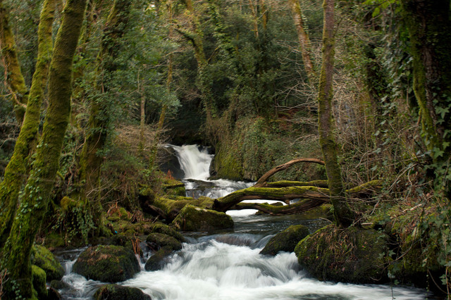 RÍO ROXOS.jpg